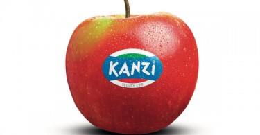 Kanzi Seduce Life