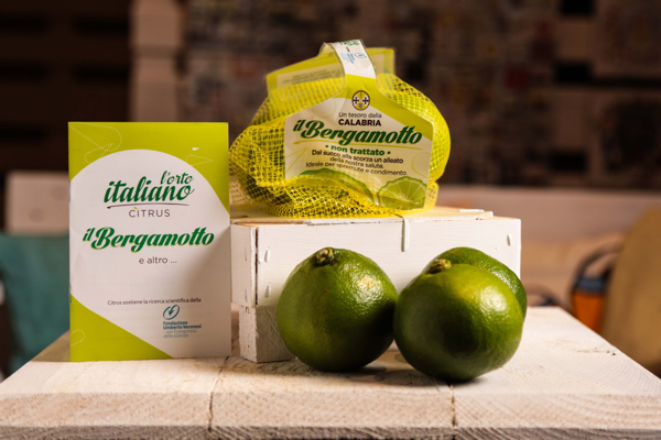 Bergamotto L'Orto Italiano Citrus