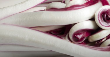 Radicchio Tardivo di Treviso Igp