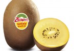 Zespri Kiwi SunGold