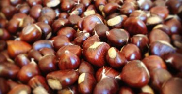 castagne