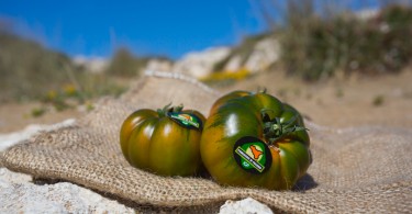 Pomodoro di Pachino Igp