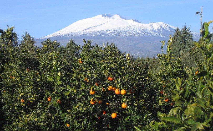 Arance Rosse Piana di Catania