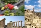 Fragole Basilicata Candonga