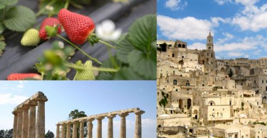 Fragole Basilicata Candonga