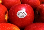 Fruit Logistica 2016 - Mele Club envy nello stand dell'Alto Adige