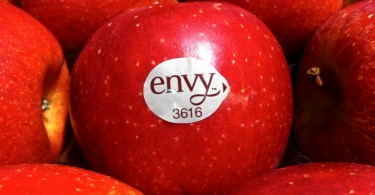 Fruit Logistica 2016 - Mele Club envy nello stand dell'Alto Adige