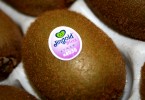 Fruit Logistica 2016 - Kiwi Jingold Bliss