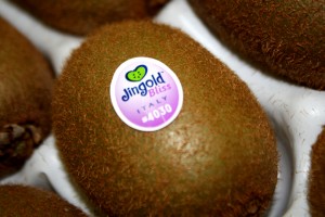 Fruit Logistica 2016 - Kiwi Jingold Bliss