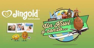 Jingold un kiwi a zonzo