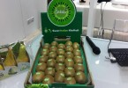 Fruit Logistica 2016 - I kiwi Sweeki di Origine Group