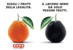 Buoni e Giusti Coop