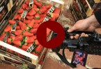 Fragole Candonga - Video Ortomercato di Milano