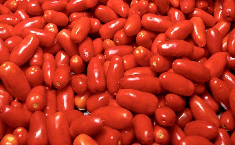 Pomodoro San Marzano