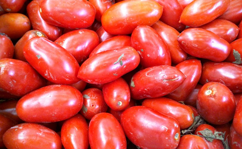 Pomodoro San Marzano