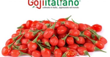 Gojiitaliano_fruttaWeb