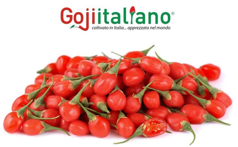 Gojiitaliano_fruttaWeb