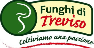 FunghiTrevisoLogo