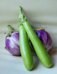 eggplantsthailonggreenandsfumata