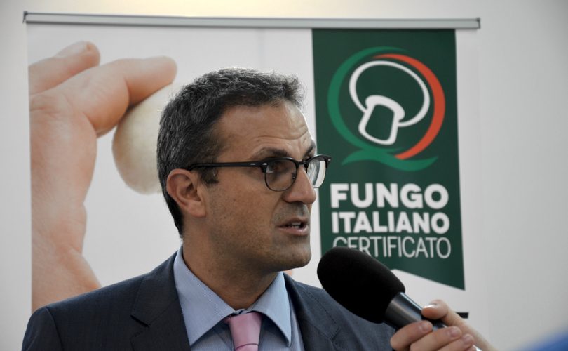 fungocertificatoitaliano_gdo_mariomattozzi