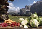 altoadige_piccolifrutti_verdura