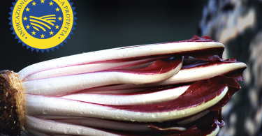 Radicchio Rosso di Treviso IGP