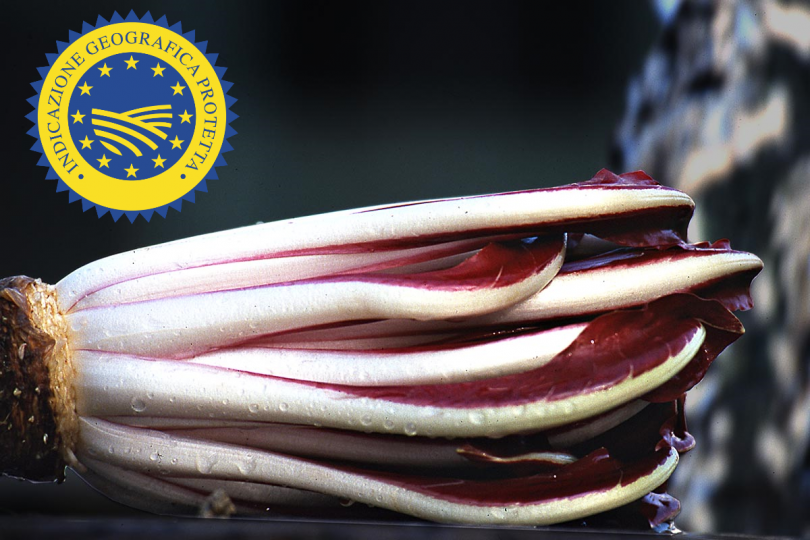 Radicchio Rosso di Treviso IGP