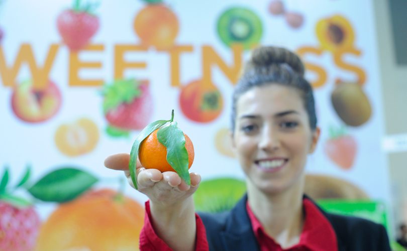 FruitLogistica2017_Italia