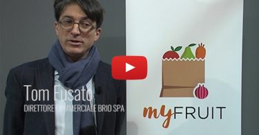 Tom Fusato, Brio Spa