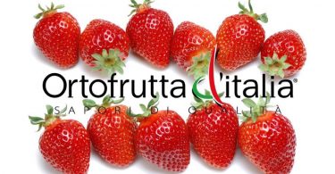 OrtofruttadItalia_Fragole_Cso