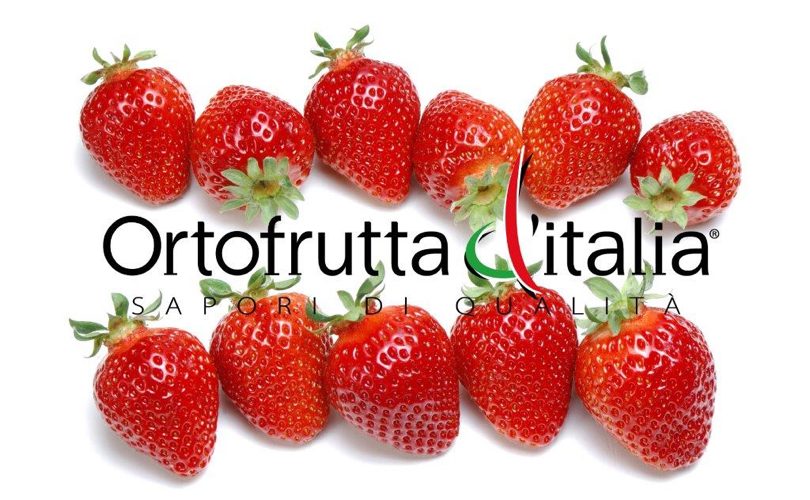 OrtofruttadItalia_Fragole_Cso