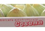 MercatoOrtofrutticoloCesena_Scarpellini