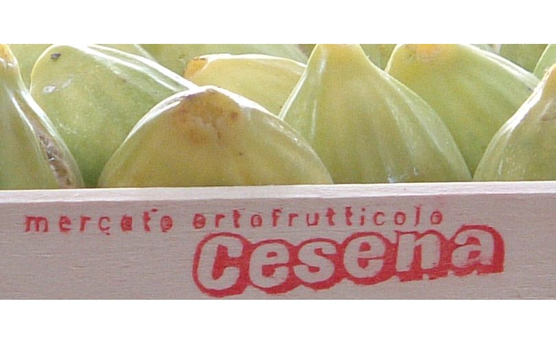 MercatoOrtofrutticoloCesena_Scarpellini