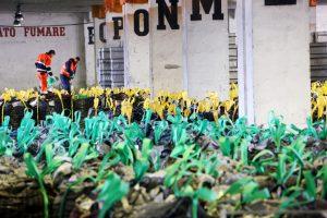 Terminal Frutta Trieste - handling operations