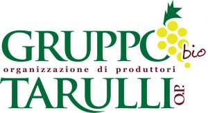 Gruppo_Tarulli_Logo