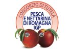 ConsorzioTutelaPescaNettarinaRomagnaIgp