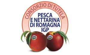 ConsorzioTutelaPescaNettarinaRomagnaIgp