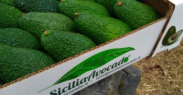 SiciliaAvocado