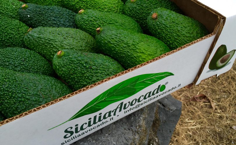 SiciliaAvocado