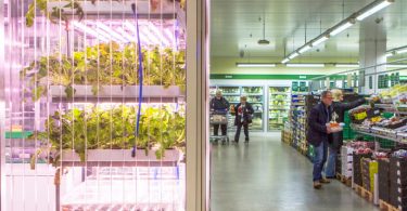 VerticalFarm_Inform_Supermercati