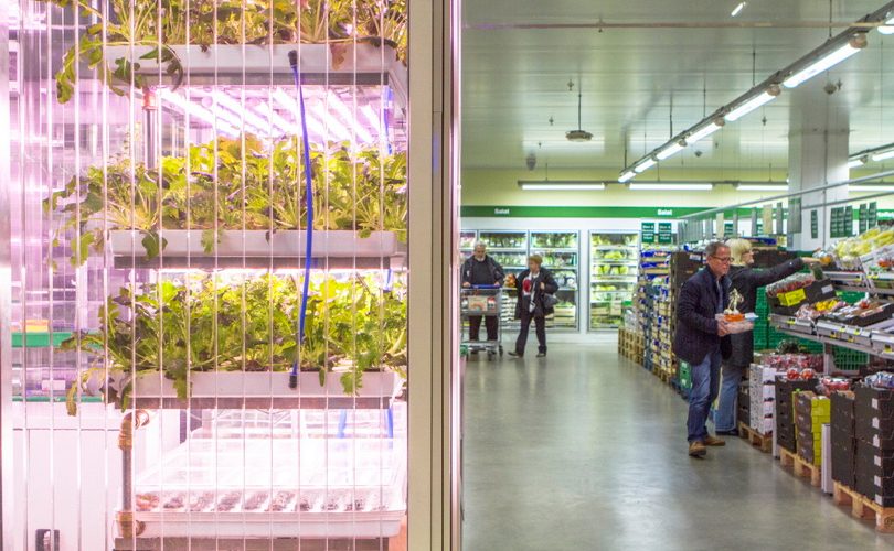 VerticalFarm_Inform_Supermercati