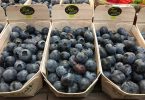 Irish BlueBerries