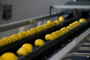 Limone di Siracusa Linea di Lavorazione