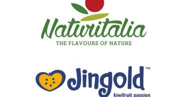 Naturitalia_Kiwi_Jingold