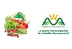 OPAOA_FruitAttraction2017