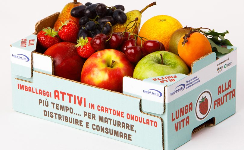 BestackFruitLogistica2018