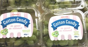 CottonCandy_FruitLogistica2018_2