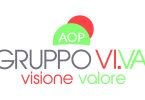 GruppoViVa