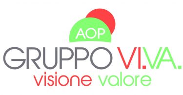 GruppoViVa