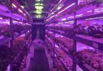 VerticalFarm_Emirates_CropOne